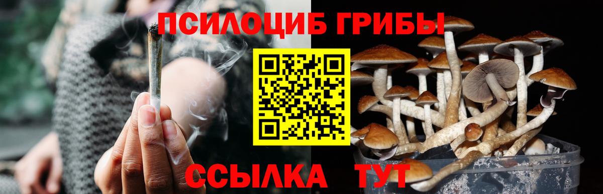 Холмск  Галлюциногенные грибы мухоморы  Галлюциногенные грибы Cubensis  Вход с VPN 