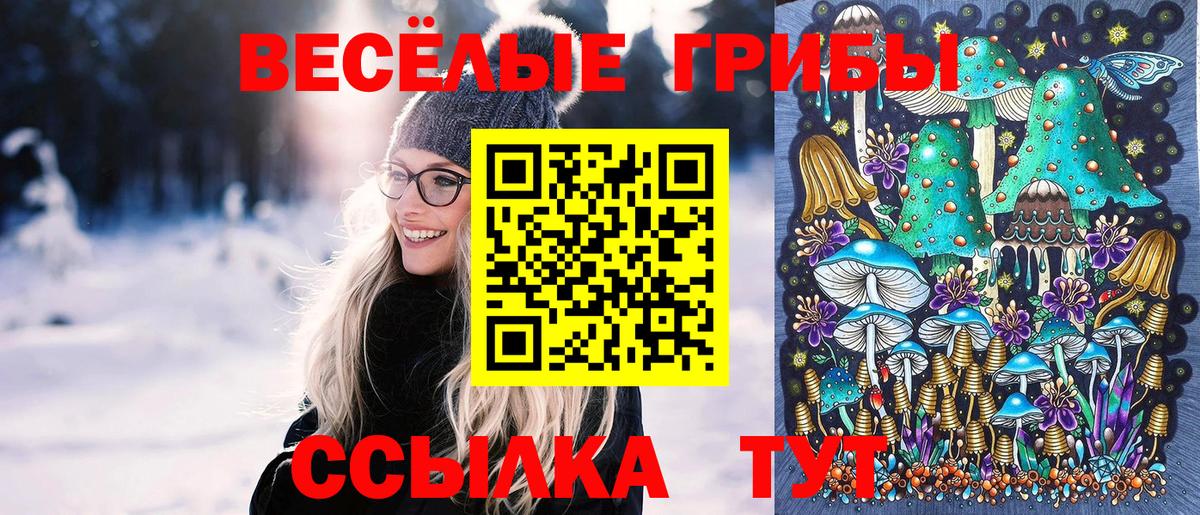 Псилоцибиновые грибы мицелий Холмск